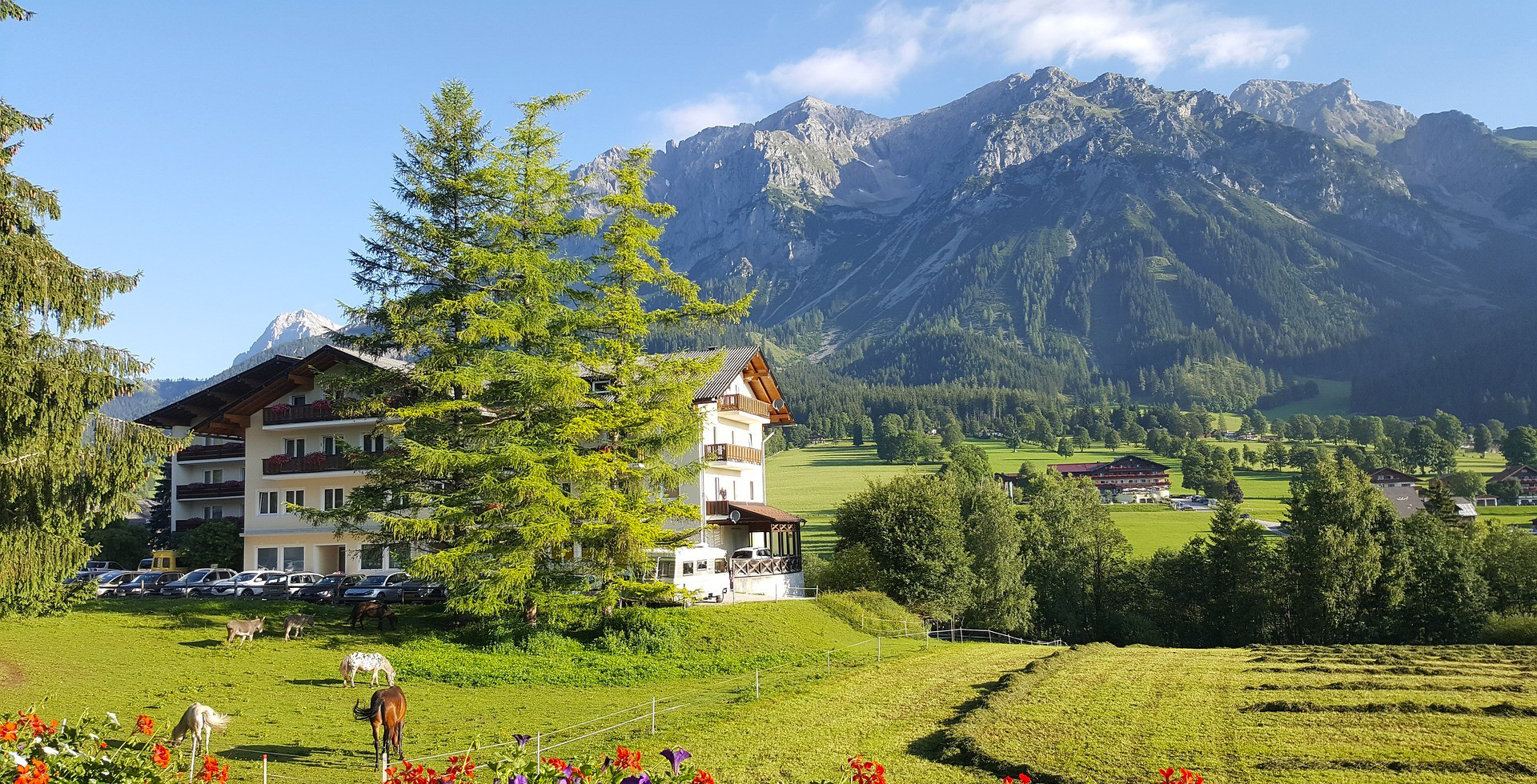 Vítejte na webu - 1